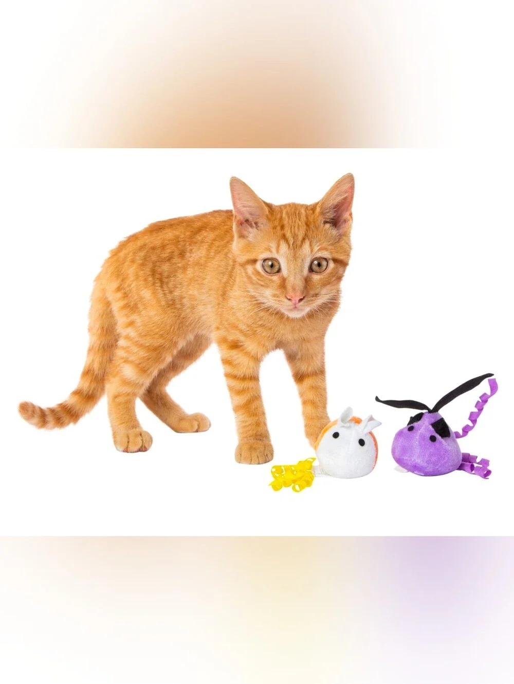 2-Pack Halloween Cat Toys in Chattanooga